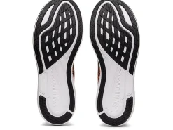 ASICS EvoRide 3-Men Running Shoes