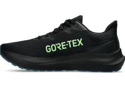 ASICS GT-2000 12 GTX-Men Overpronation|Running Shoes