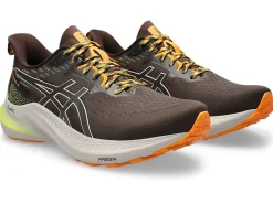 ASICS GT-2000 12 TR-Men Trail Running|Overpronation