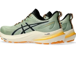 ASICS GT-2000 12 TR-Men Trail Running|Overpronation