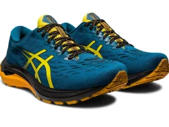 ASICS GT-2000 11 TR WIDE NATURE BATHING-Men Trail Running|Overpronation
