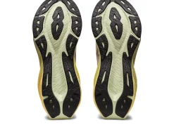 ASICS NOVABLAST 3-Women Neutral|Running Shoes